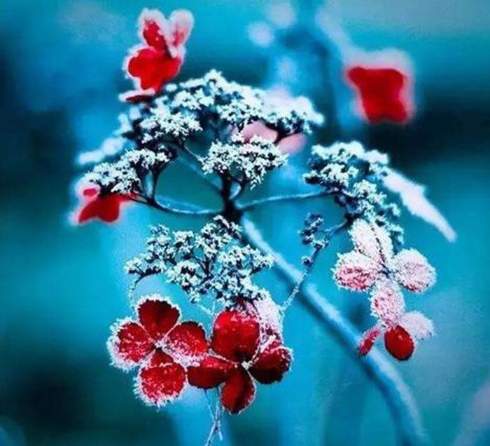 15170299725896.jpg 15.jpg