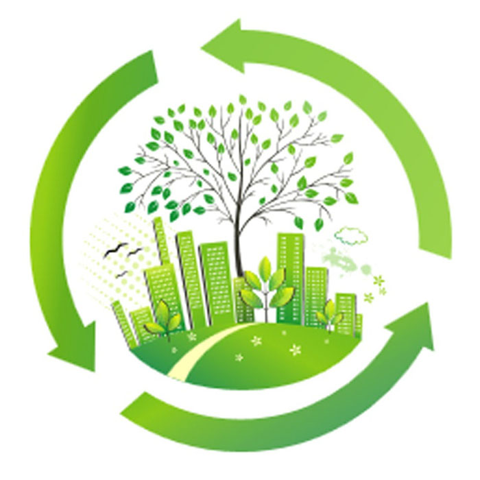 15342599598402.jpg 6.jpg